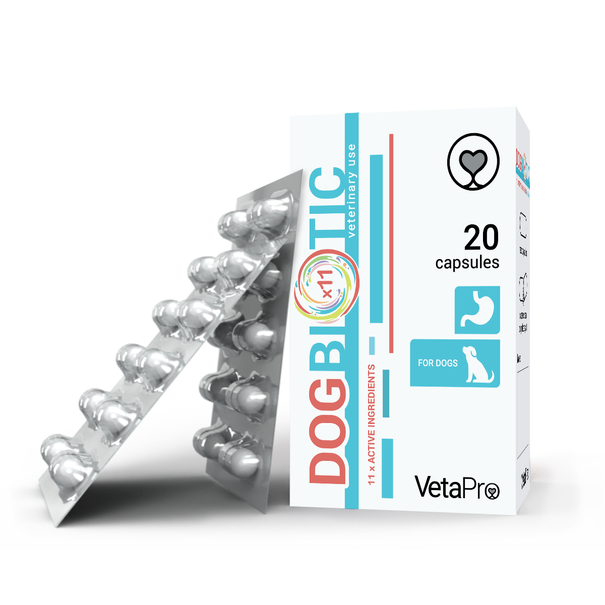 dogbiotic