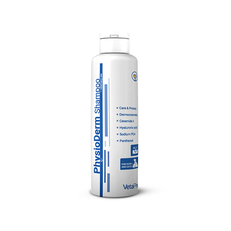 Physio_mockup1--min