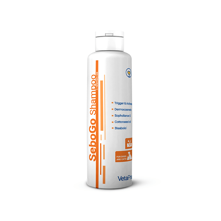 Sebogo_mockup1-min